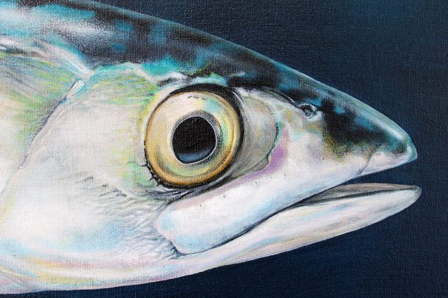 Close up detail of a mackerel painting