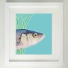 Framed painting of a sea bass fish