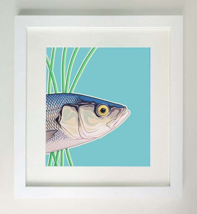 Framed painting of a sea bass fish