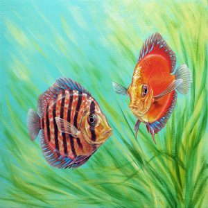 Discus Fish Painting Original