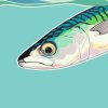 Painting of a Mackerel fish