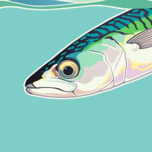 Painting of a Mackerel fish