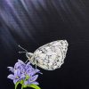 Original painting of a Marbled White Butterfly