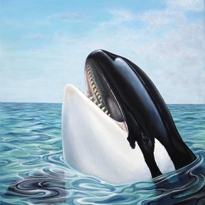 Orca Whale Painting Original