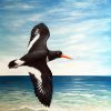 Original painting of an oystercatcher bird