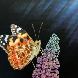 Original painting of a Painted Lady Butterfly