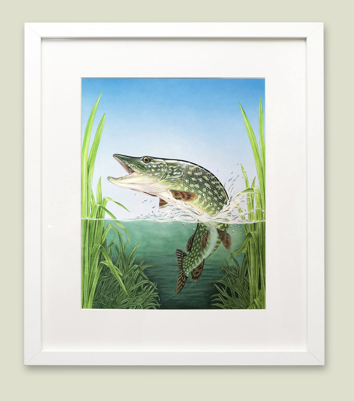 Framed painting of a Northern Pike