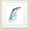 Watercolour illustration of Salmon in picture frame