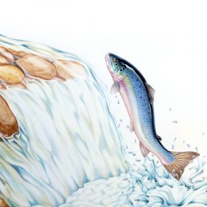 Salmon Fish Painting Original