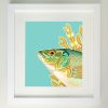 Framed painting of a Wrasse fish