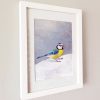 Framed painting of Blue Tit