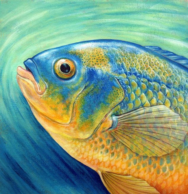 Original painting of a Cichlid fish.