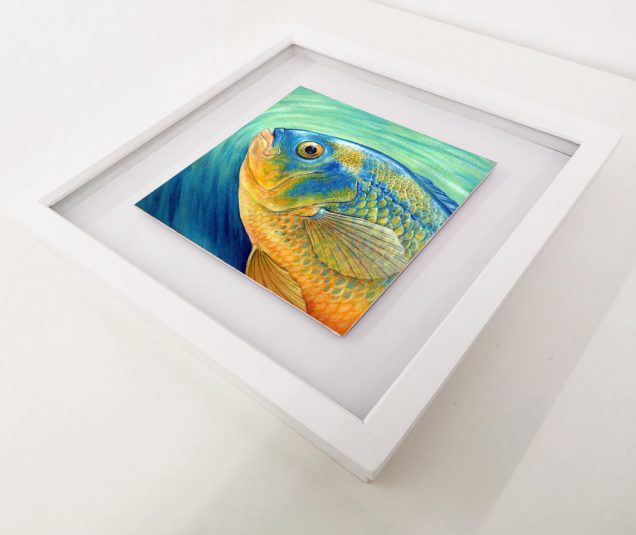 Cichlid painting in a white frame.