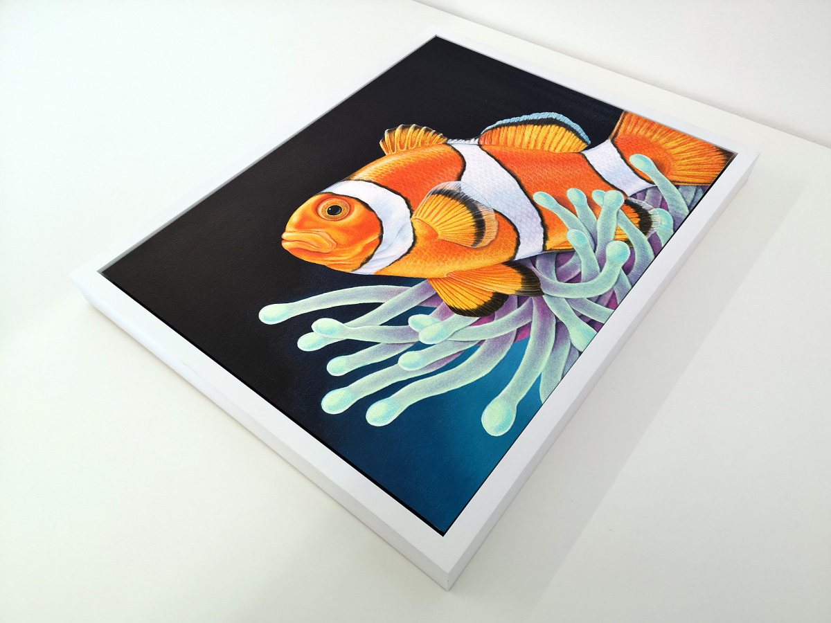 Framed painting of a Clownfish
