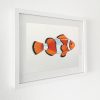 Illustration of a Clownfish