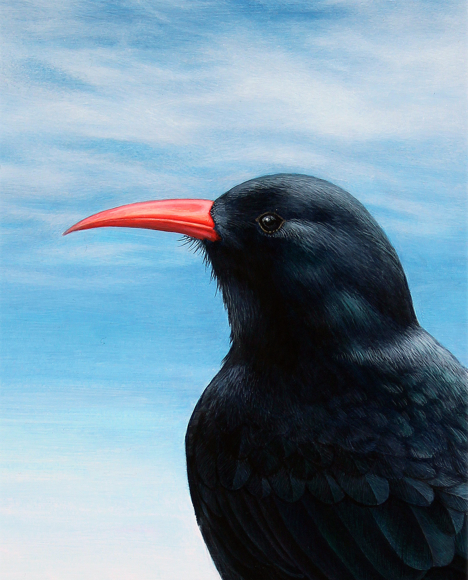Close-up detail of a chough painting.
