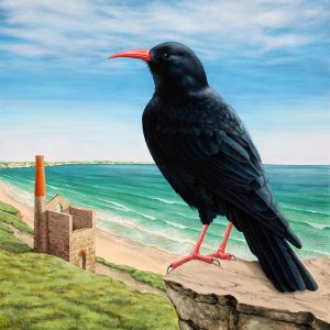 Original painting of a Cornish Chough.