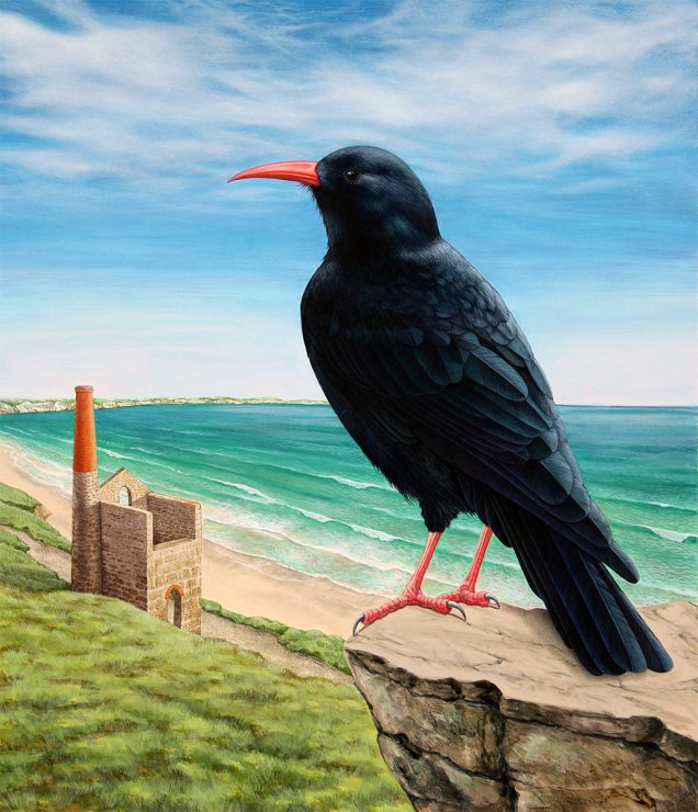 Original painting of a Cornish Chough.