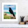 Painting of a chough in a white picture frame and mount.
