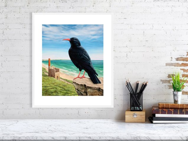 Painting of a chough in a white picture frame and mount.
