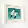 Framed painting of Gannets