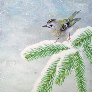 Goldcrest painting