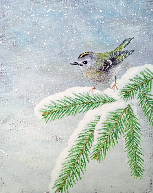 Goldcrest painting