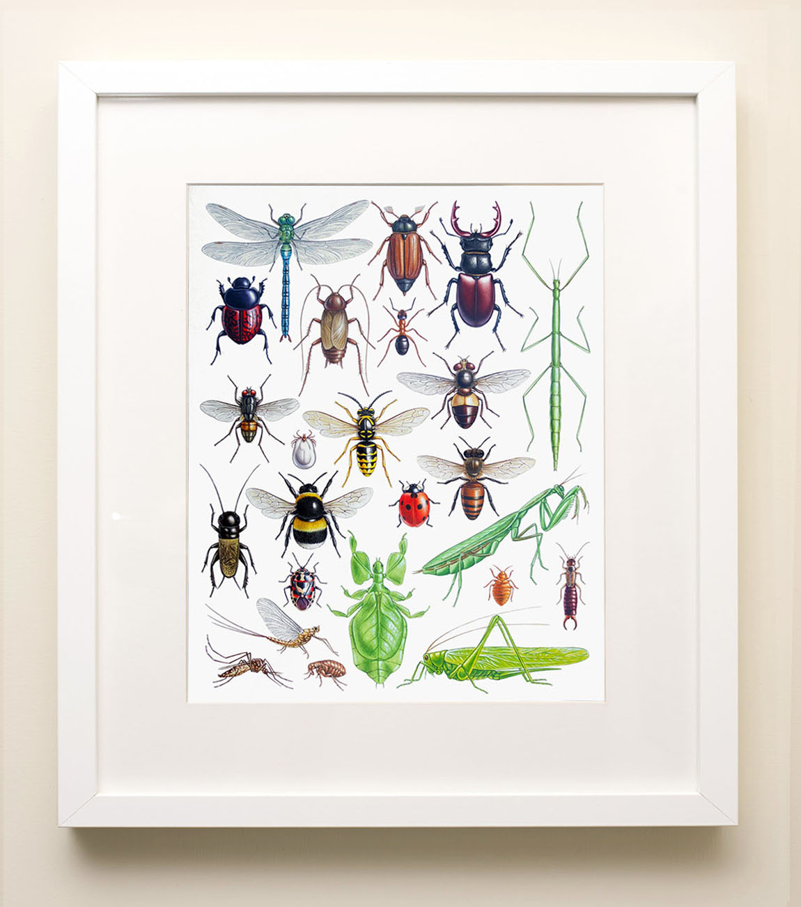 Framed painting of insects