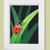 Ladybird painting in a white frame