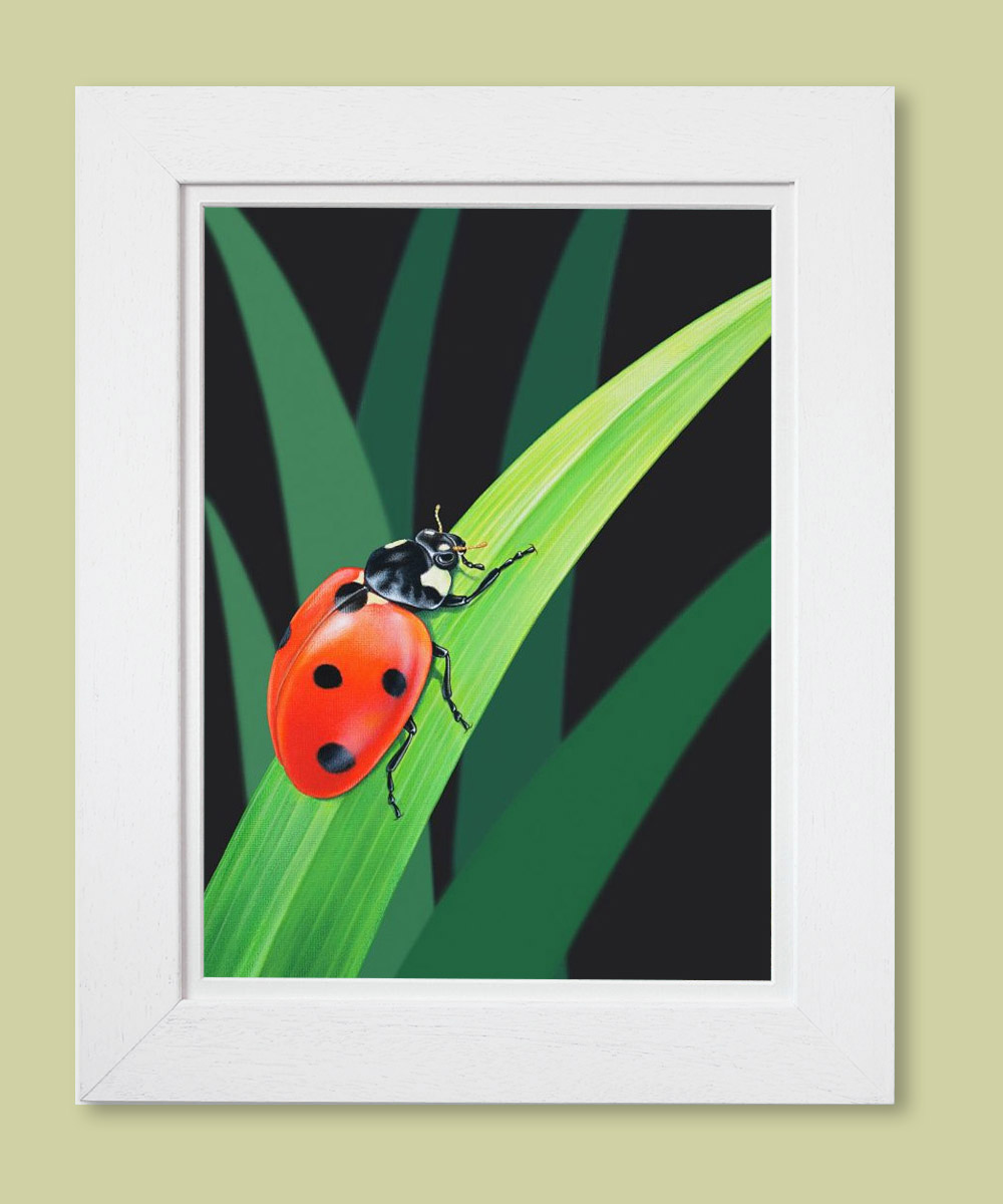 Ladybird painting in a white frame