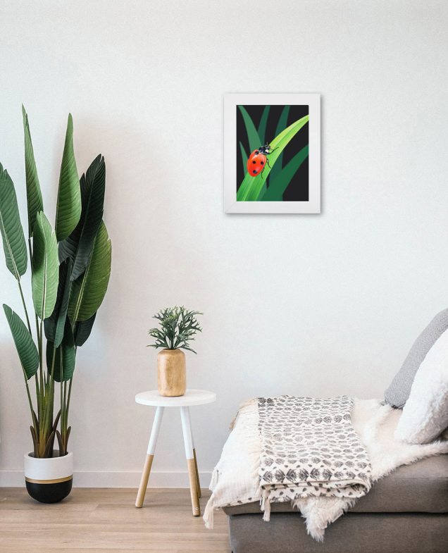 Ladybug painting in frame hanging on a wall