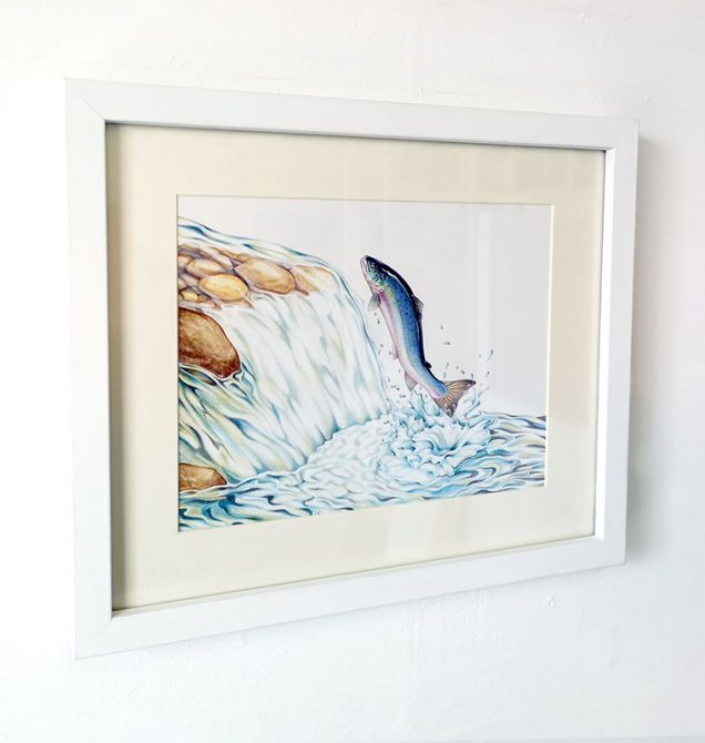 Framed painting of a leaping Salmon