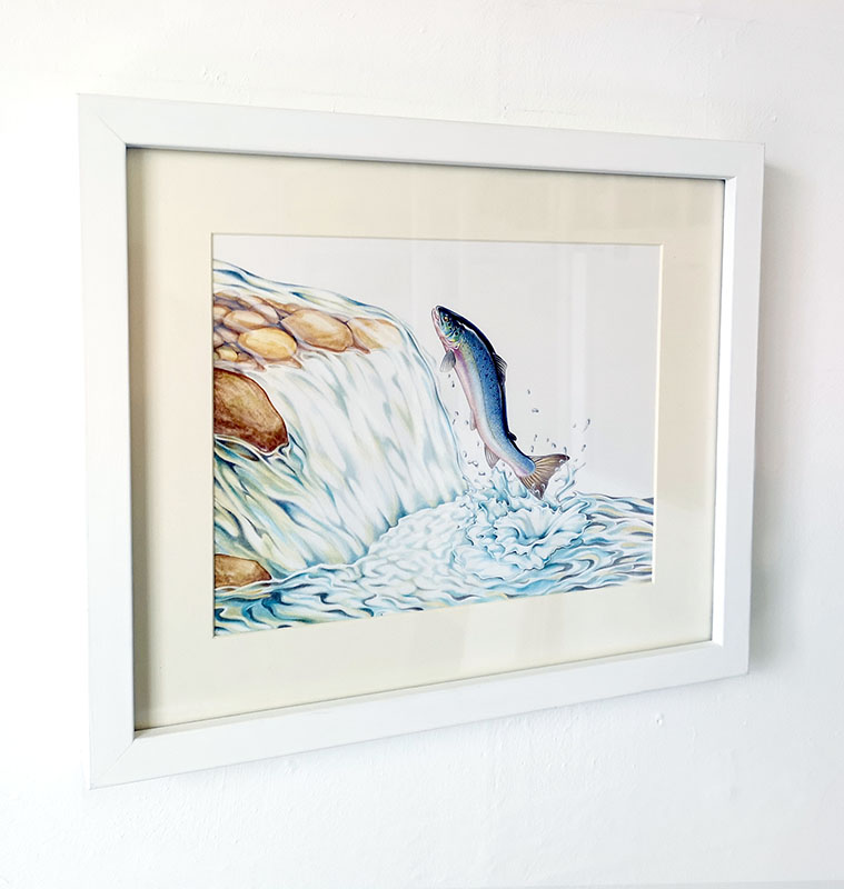 Framed painting of a leaping Salmon