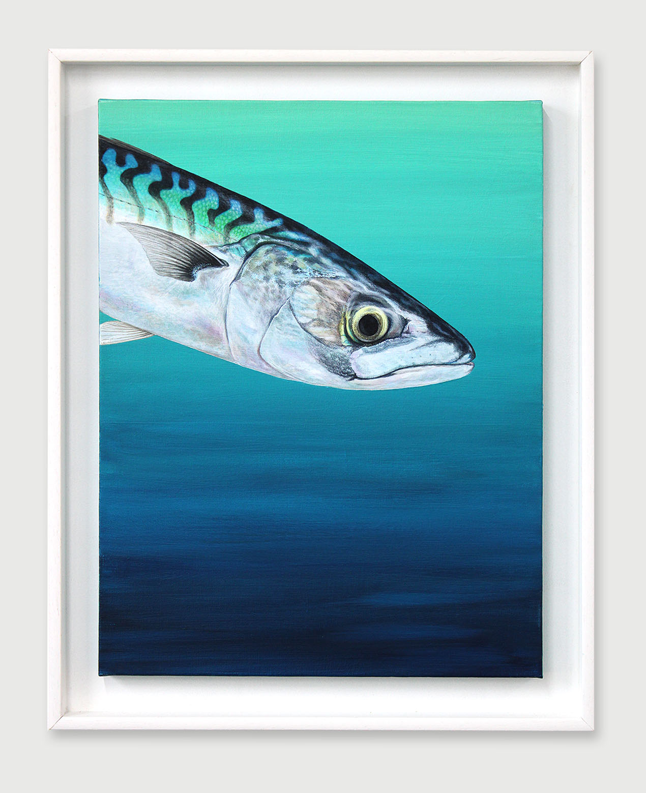 Framed painting of a Mackerel