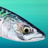 Detail of Mackerel head painting