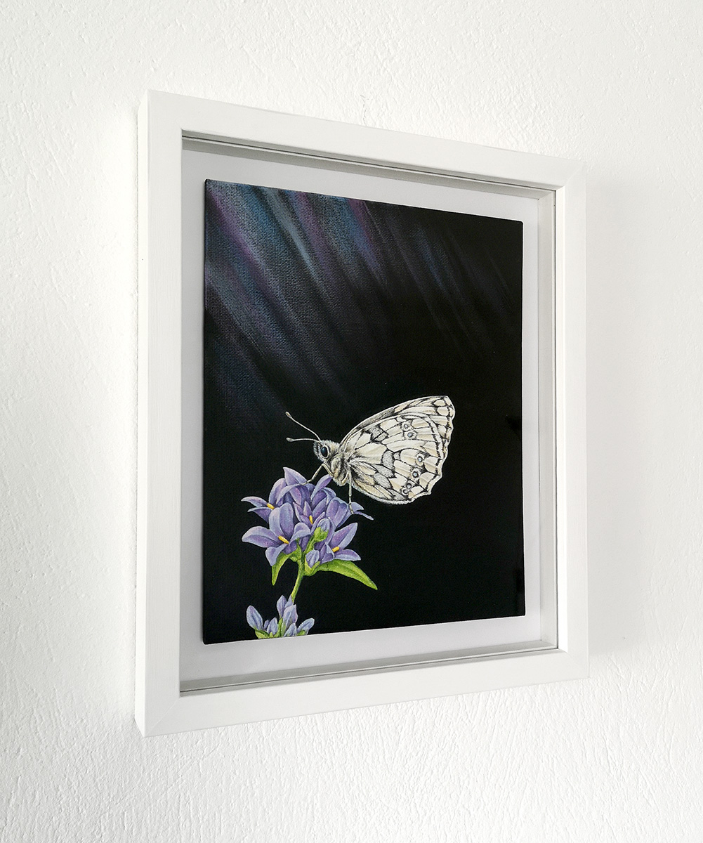 Framed painting of a marbled white butterfly