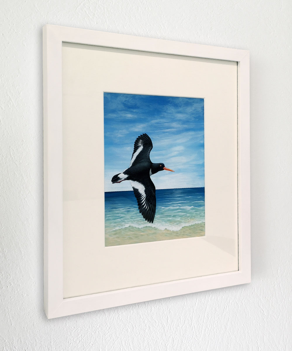 Framed painting of an Oystercatcher