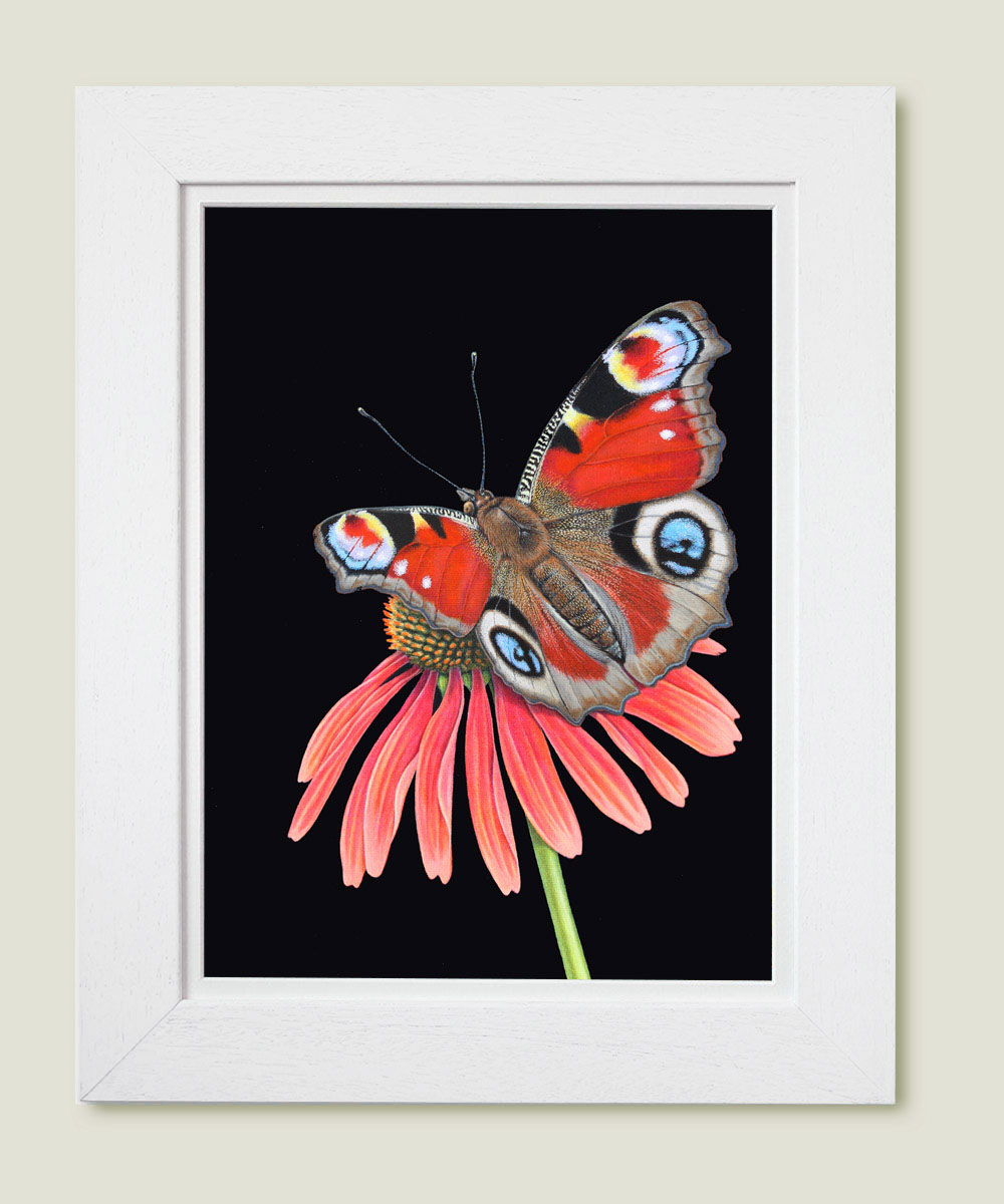 Framed painting of a peacock butterfly