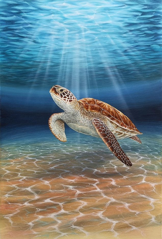 Acrylic painting of a Sea Turtle
