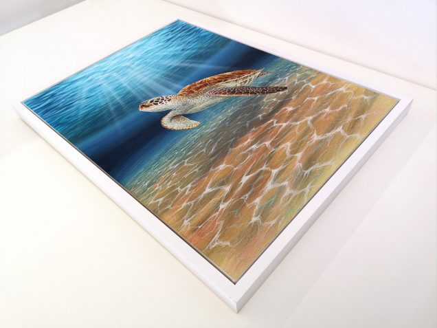 Framed painting of a turtle