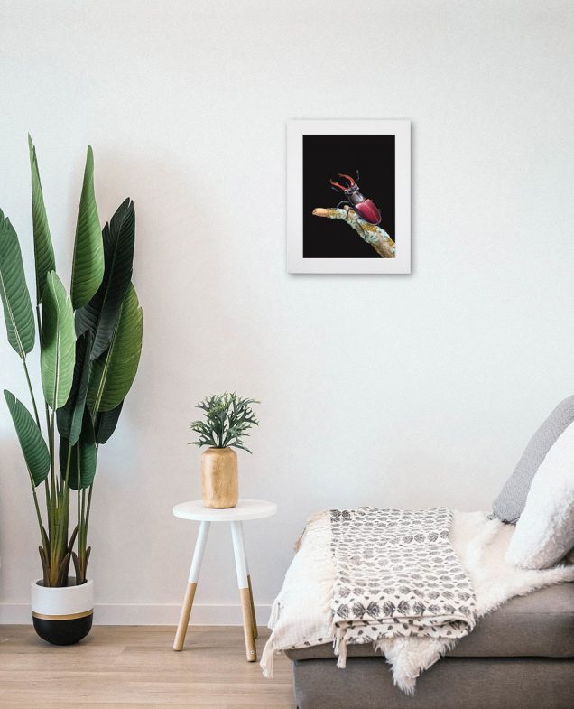 Stag beetle painting hanging on a wall