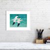 Print of a gannets in a white picture frame and mount