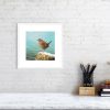 Print of a wren in a white picture frame and mount