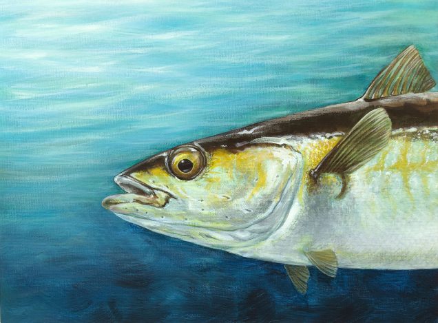 Print of a pollock fish from an original painting.