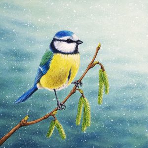 Blue tit print of an original painting