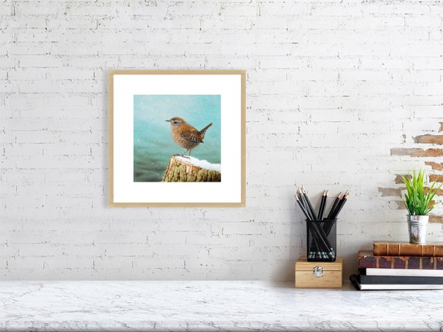 Print of a wren in an oak picture frame and white mount