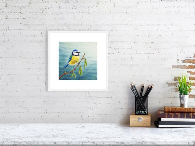 Print of a blue tit in a white picture frame and mount