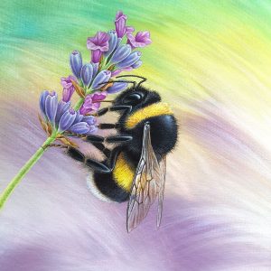 Bumblebee print of an original painting.