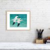 Print of a gannets in an oak picture frame and white mount