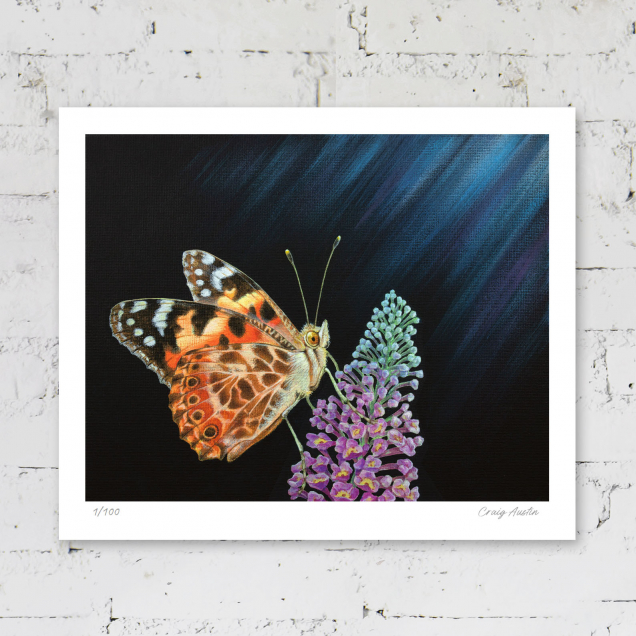 Signed print of a painted lady butterfly